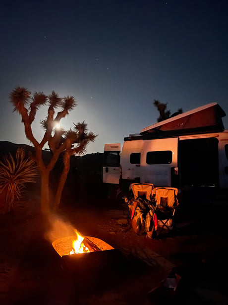 Moonlit desert camping: cozy campfire, Joshua tree, and RV rental under a starry sky.