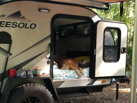 An RV rental setup: a golden retriever dog sleeps inside a small EESOLO camper, nestled in a peaceful outdoor spot.