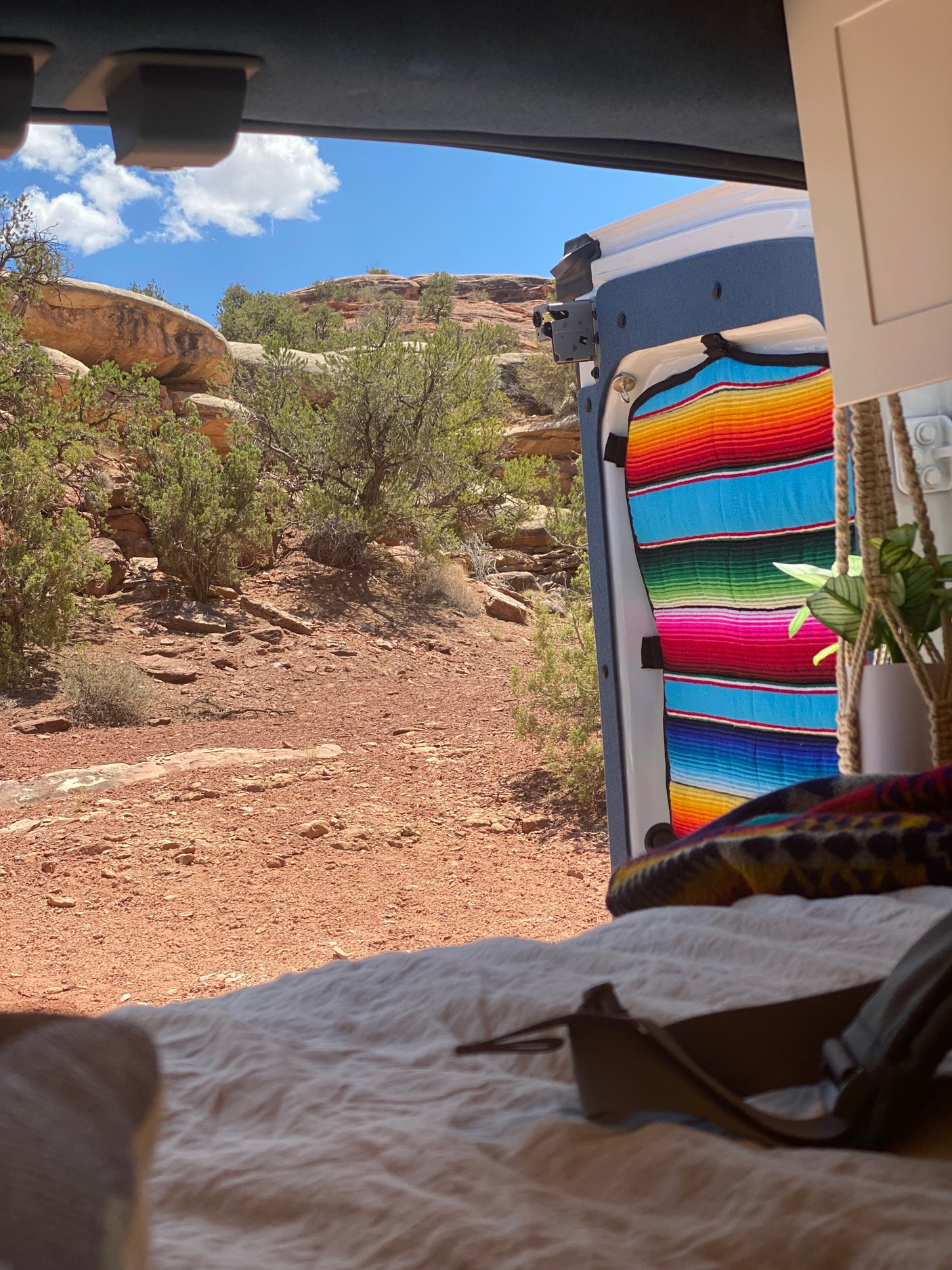 RV rental view: looking out a camper van door at a red rock desert with sparse trees under a blue sky.