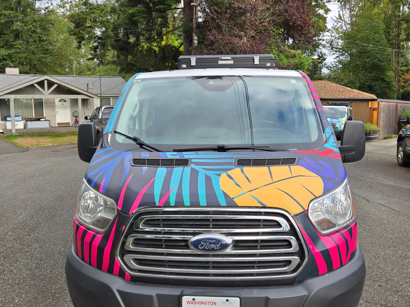  with open back doors.|This vibrant RV rental van — photo 11