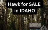 Four Wheel Camper HAWK — used for sale in Eagle, ID (photo 3)