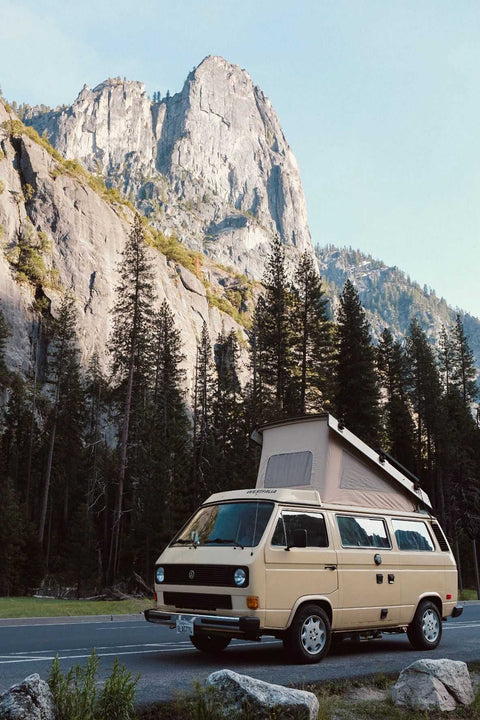 1982 Volkswagen Westfalia "Buttercup" — photo 3
