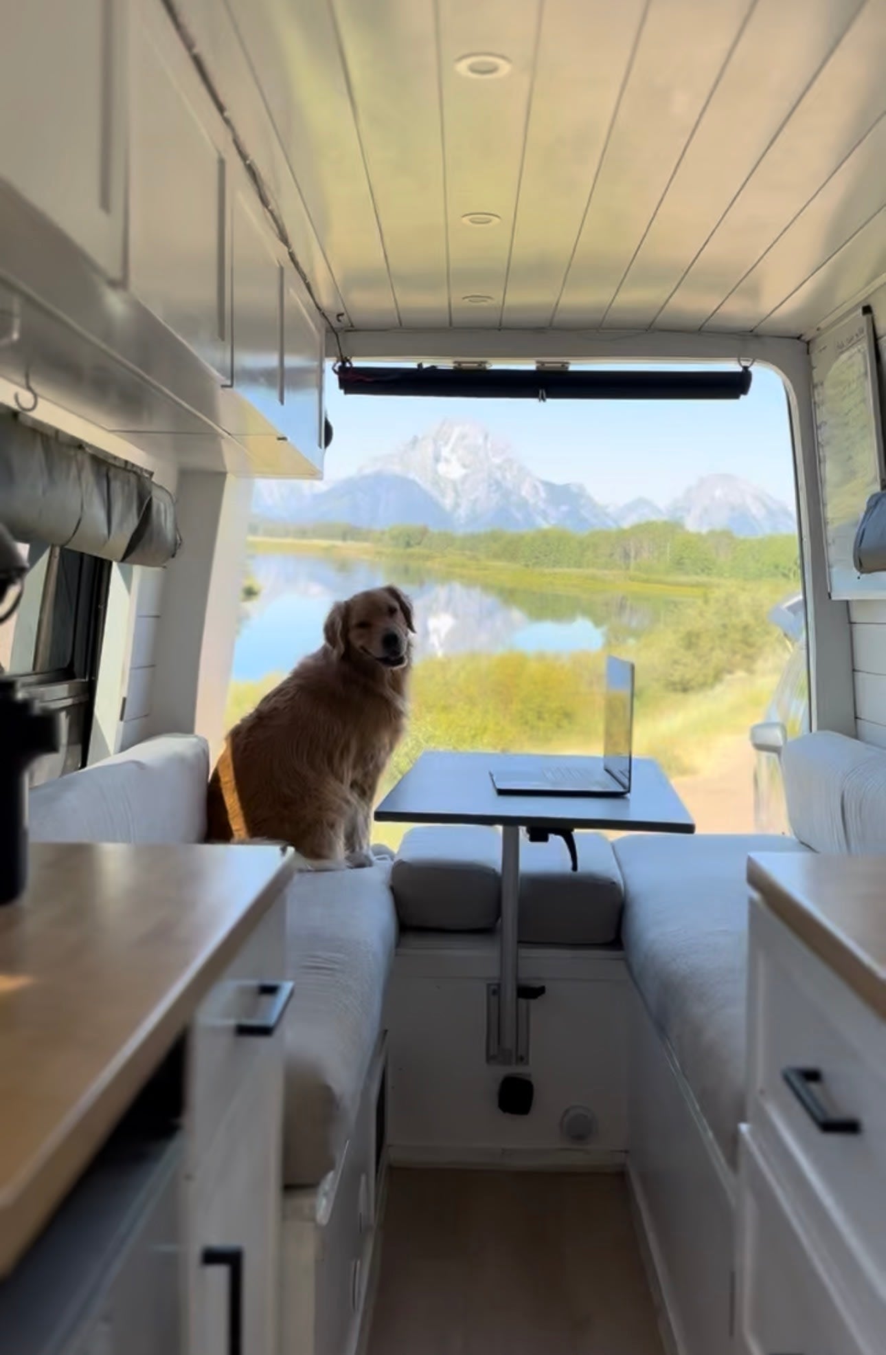 Custom Build Luxury Off-Grid Apartment on Wheels (Dog Friendly) — photo 2
