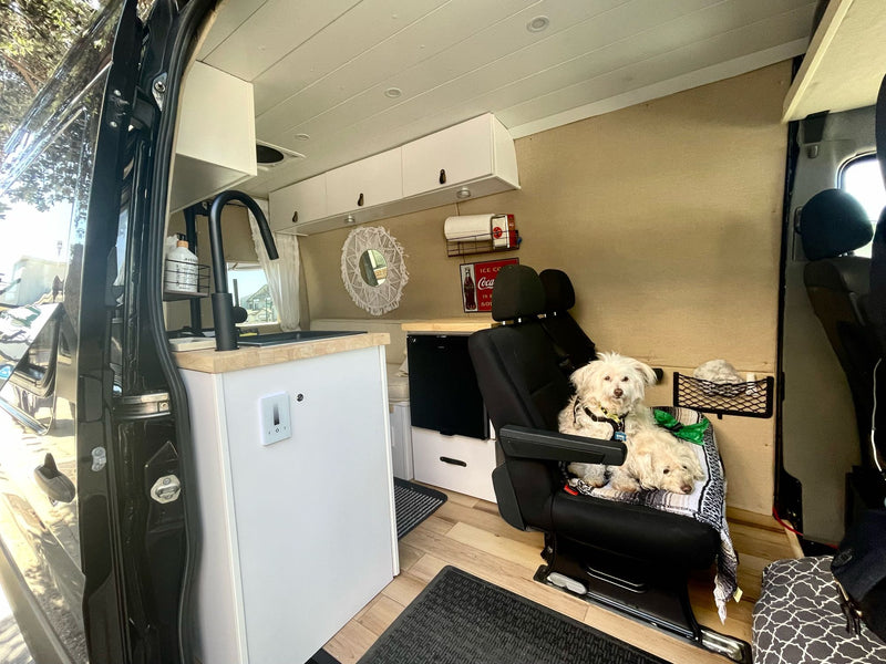 Inside a cozy RV rental: a compact kitchen, overhead storage, and two happy dogs in a swivel chair, ready for travel. — photo 17