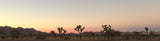 Joshua Tree National Park at sunset, a breathtaking view from your RV rental.