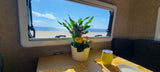 A stunning beach and ocean view from an RV rental window, featuring a potted plant and yellow tumbler on the table.