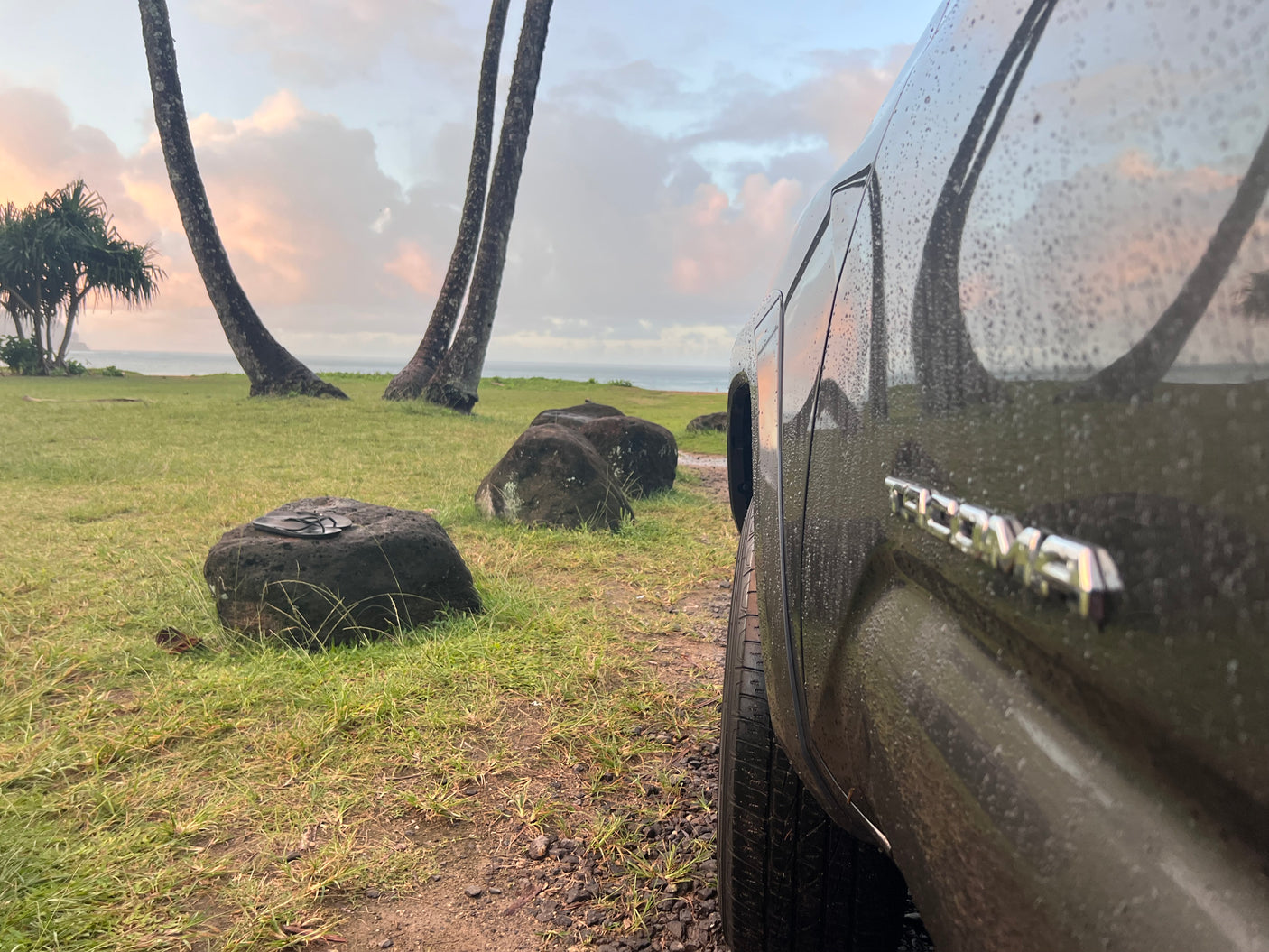 Dark, wet Tacoma truck by ocean & palms at sunrise.