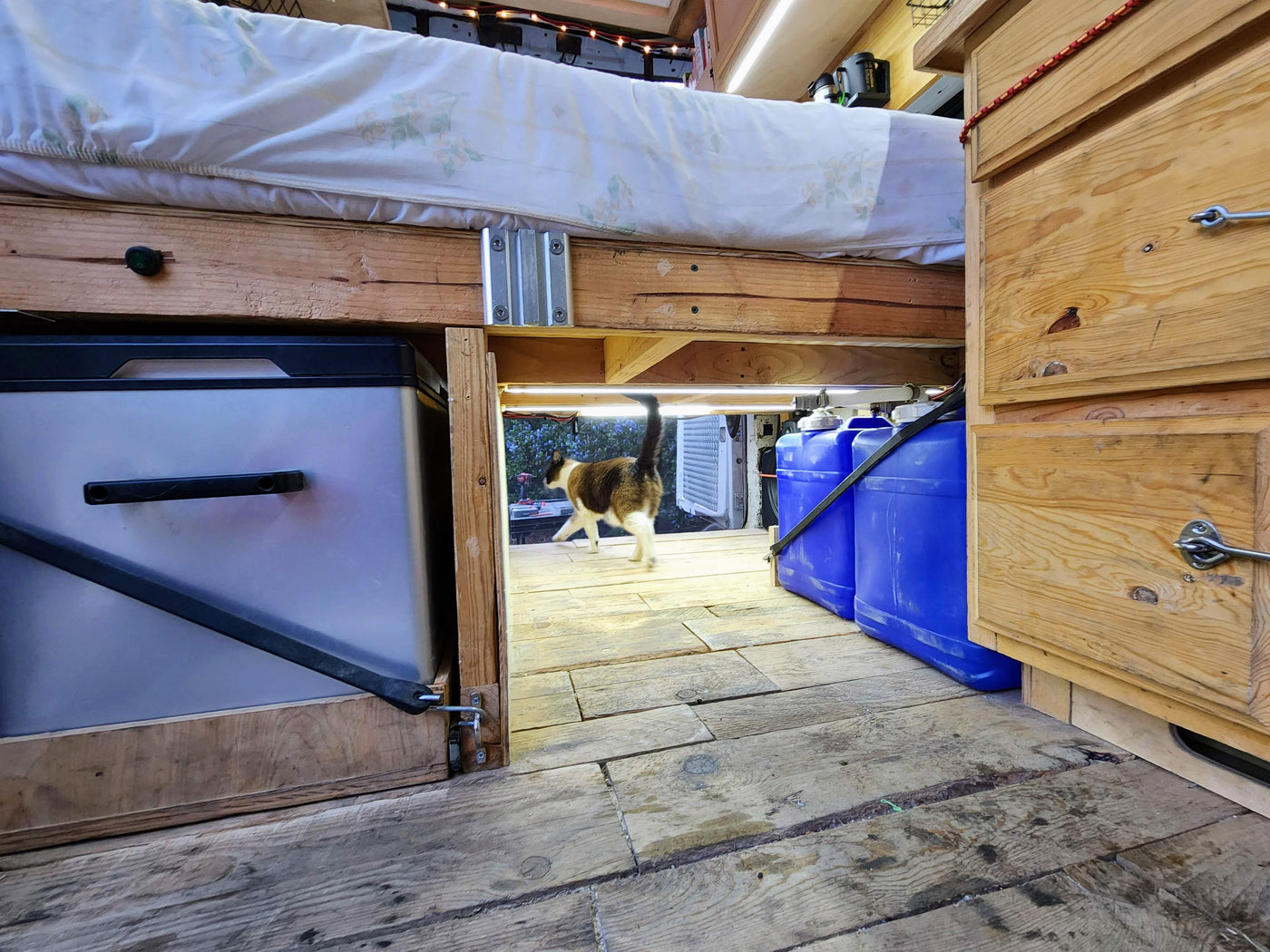 Bike ready & pet friendly, meet Envy the Nissan NV! A cozy adventure to-go. — photo 11