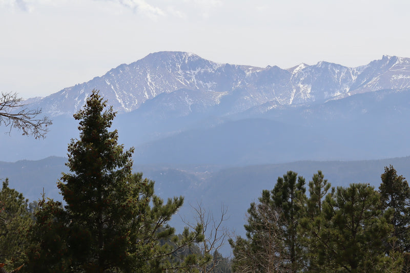 Snow-capped mountains rise in the distance, softened by haze, with dense pine trees framing the foreground. Explore with an RV rental. — photo 16
