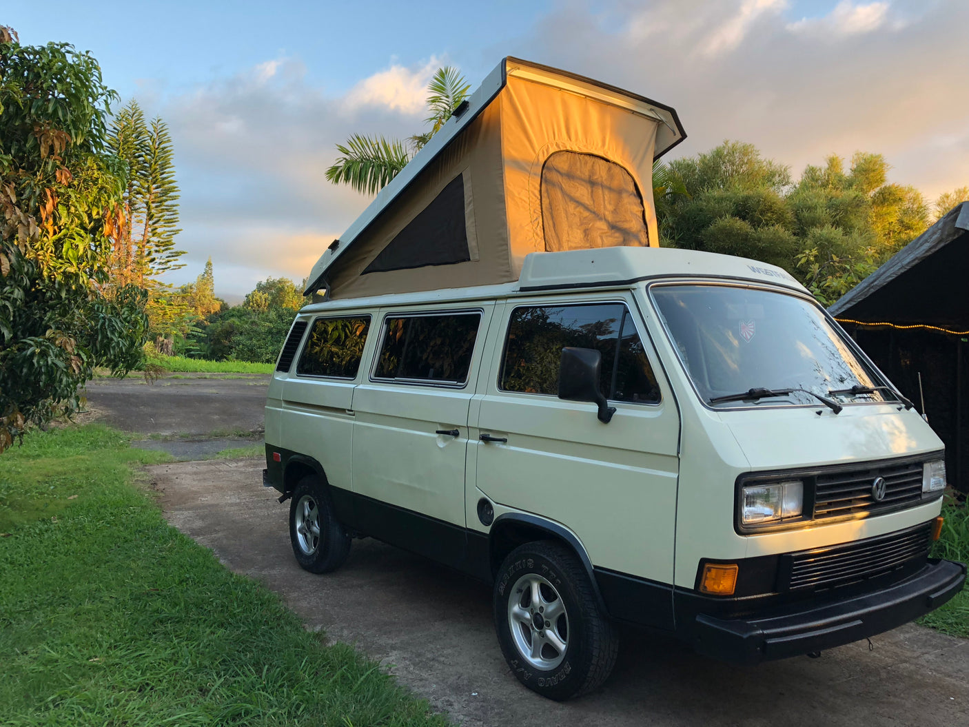 This classic white/dark VW pop-top camper van, parked amidst lush tropical trees, is perfect for an rv rental adventure.