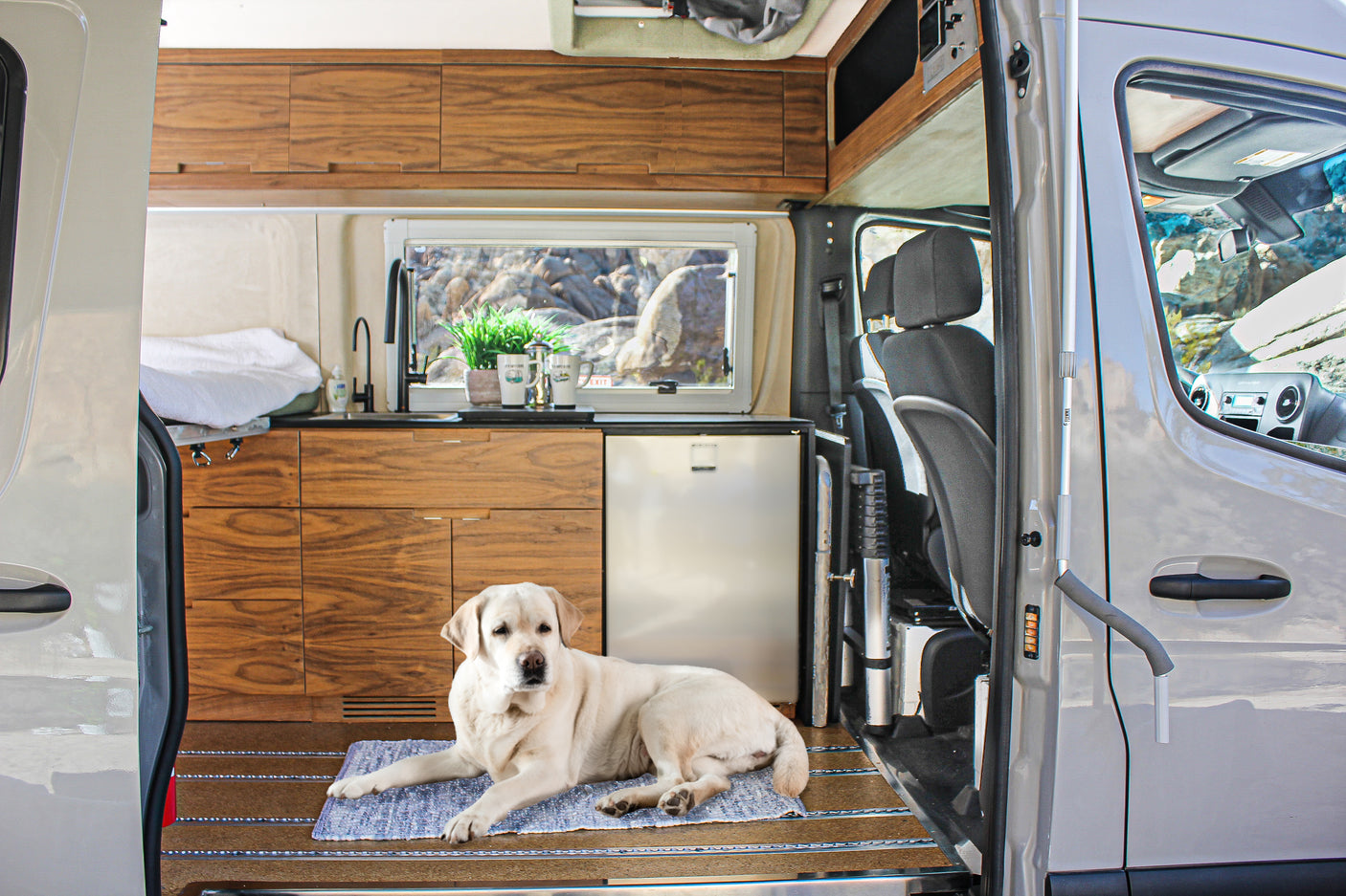 Pet-friendly RV rental interior: A yellow Lab rests by the kitchenette, with outdoor views and driver's cabin visible.