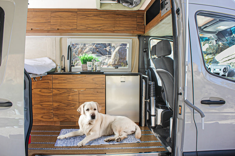 Pet-friendly RV rental interior: A yellow Lab rests by the kitchenette, with outdoor views and driver's cabin visible. — photo 13