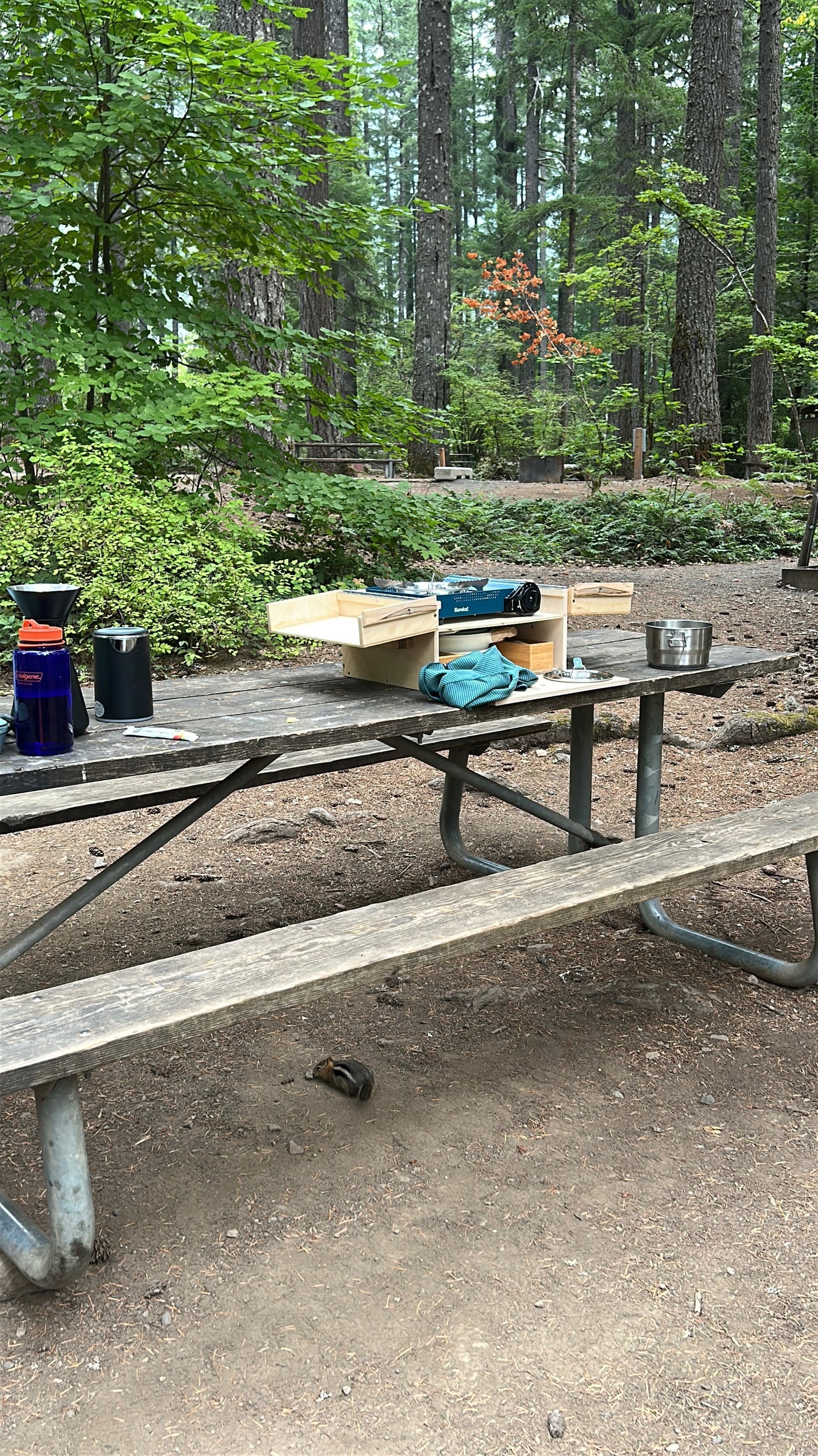 Peaceful RV rental camping: A picnic table holds a portable kitchen in a forest, with a chipmunk below.