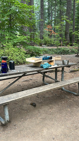 Peaceful RV rental camping: A picnic table holds a portable kitchen in a forest, with a chipmunk below.