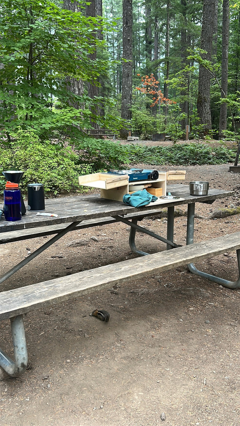 Peaceful RV rental camping: A picnic table holds a portable kitchen in a forest, with a chipmunk below. — photo 9
