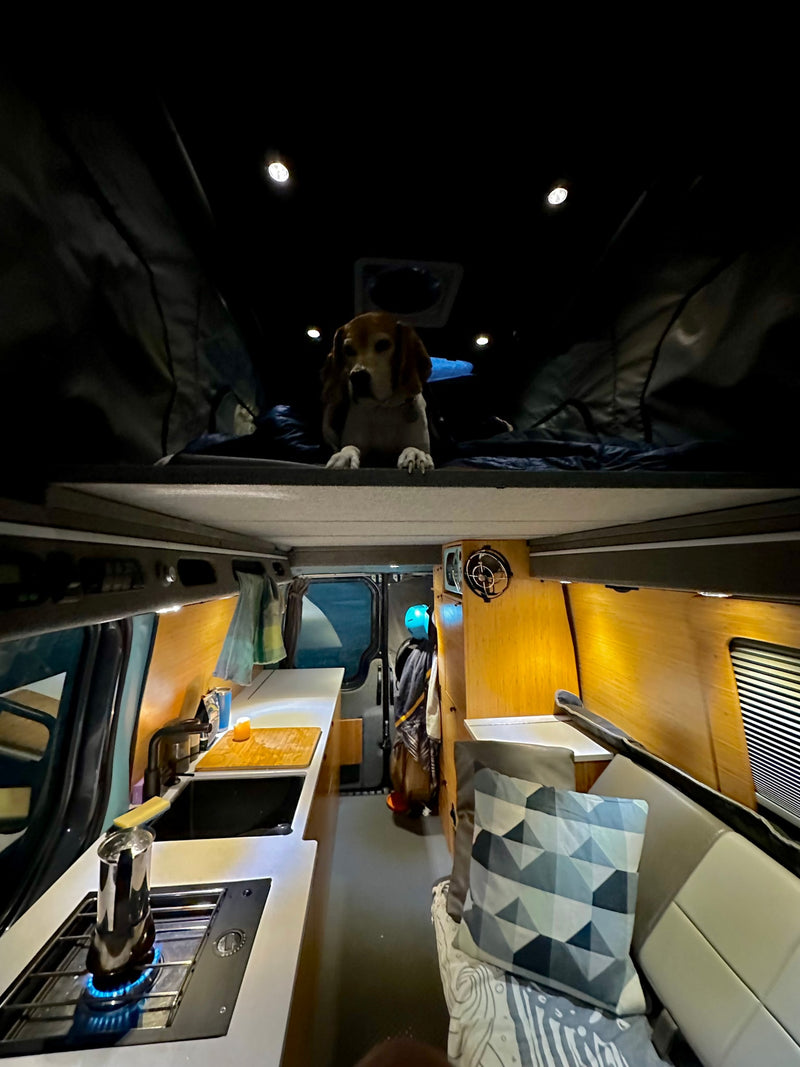 A beagle dog peeks from the top bed of a full-featured camper van, showing a kitchen. Your RV rental adventure awaits! — photo 5
