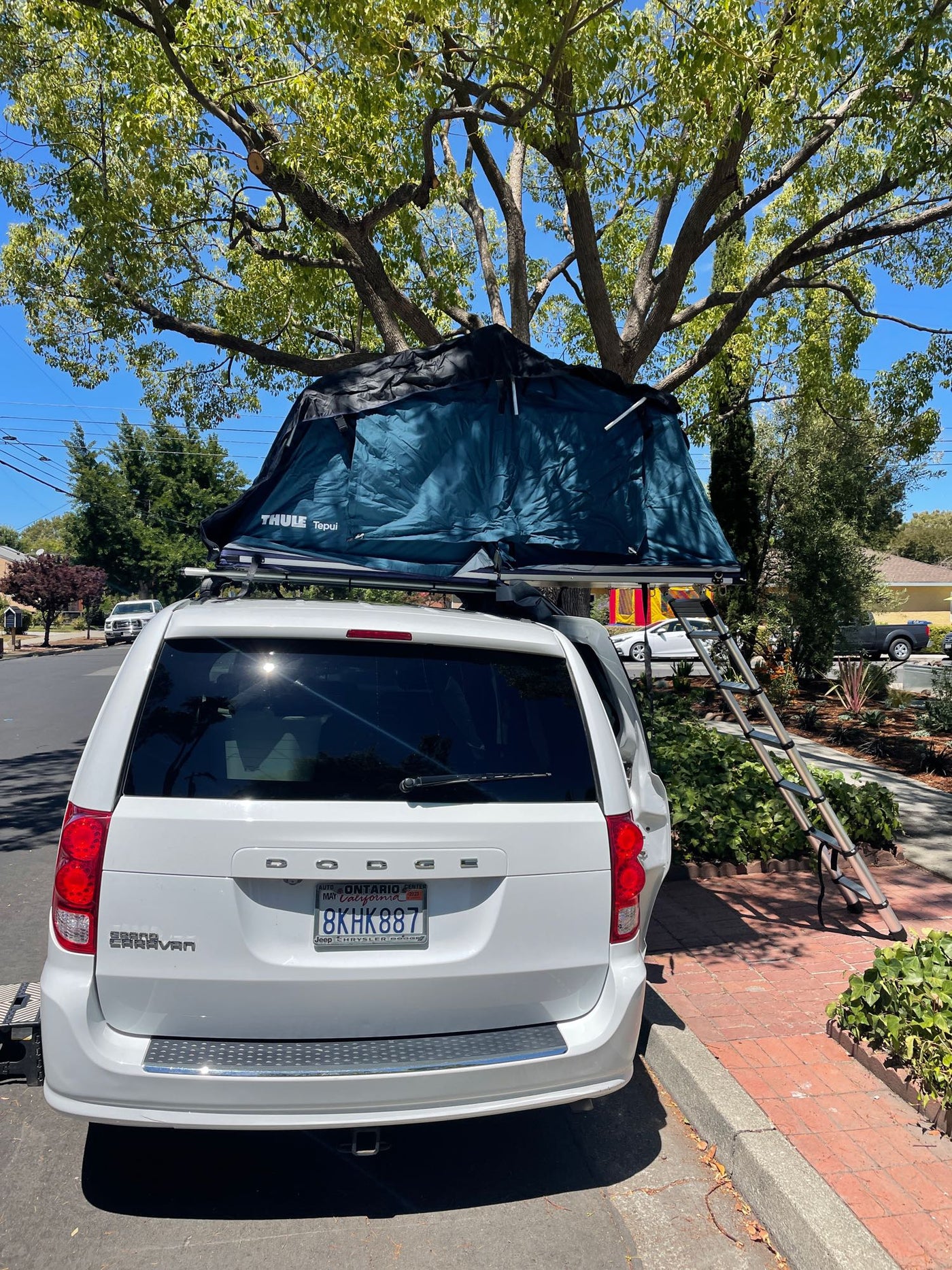  and storage cabinets for comfortable travel.|White Dodge minivan with a deployed Thule Tepui rooftop tent and ladder — photo 5