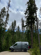 A gray camper van, perfect for RV rental adventures, parked on a forest road among tall, mossy trees under a cloudy sky.