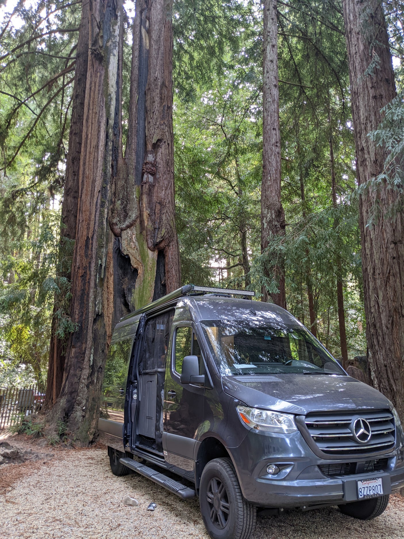 A dark grey Mercedes Sprinter rv rental parked on gravel in a towering redwood forest, offering a nature escape.