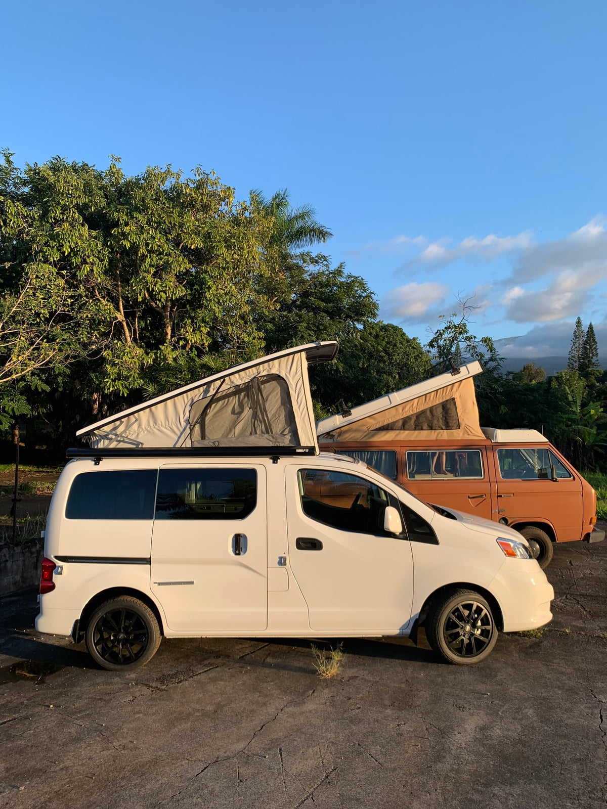  overlooking the ocean and palm trees.|Explore an RV rental's interior: a compact camper kitchen with a stocked fridge — photo 5