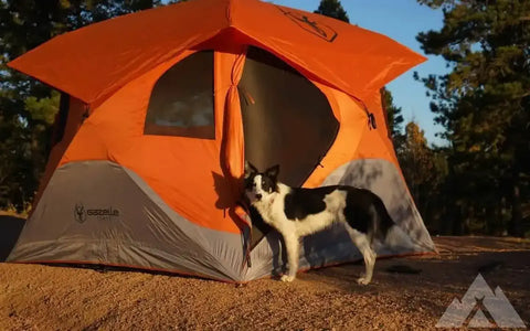 Gazelle T4 hub tent