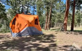 Gazelle T4 Overland Tent (Used Once)