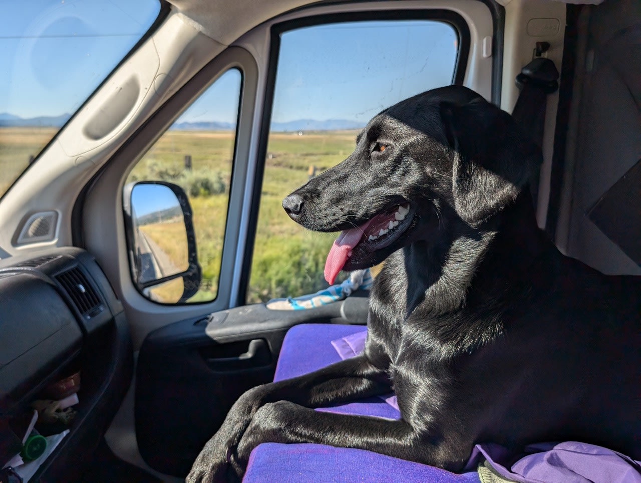 Happy black dog watches scenic landscape from an RV rental, with mountains & a dirt road outside.