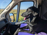 Happy black dog watches scenic landscape from an RV rental, with mountains & a dirt road outside.