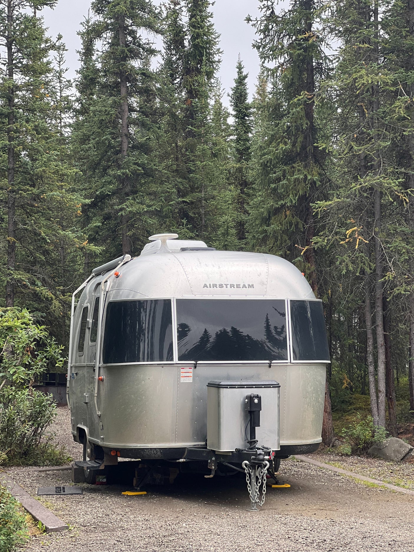 Silver Airstream RV rental nestled among tall pine trees in a wooded campsite. Perfect for nature travel.