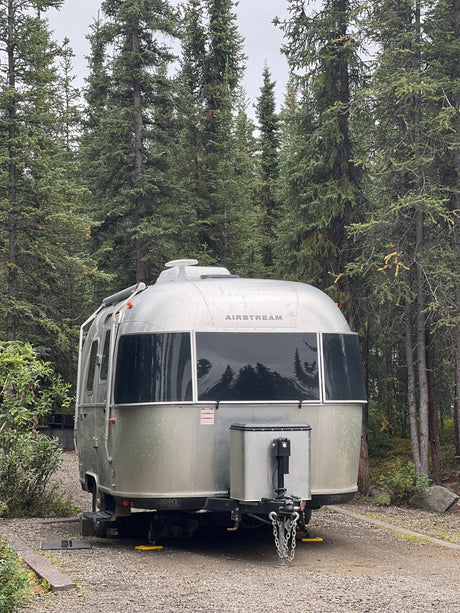 Silver Airstream RV rental nestled among tall pine trees in a wooded campsite. Perfect for nature travel.