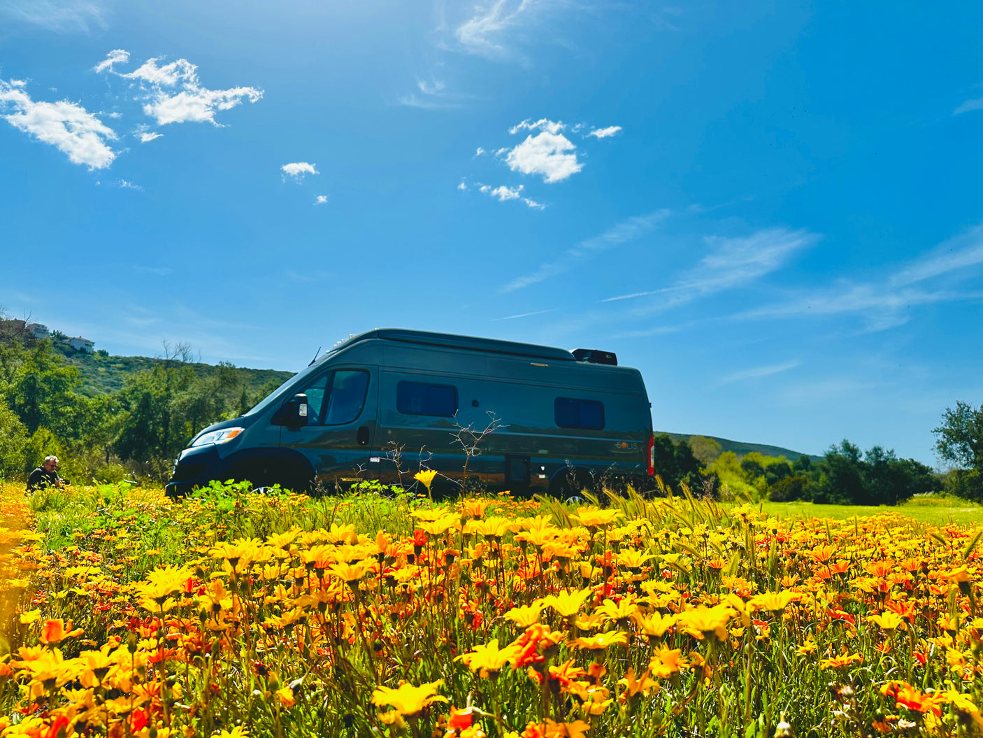 Serene rv rental camper van in a vibrant yellow flower field under a bright blue sky. Perfect for outdoor travel.