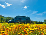 Serene rv rental camper van in a vibrant yellow flower field under a bright blue sky. Perfect for outdoor travel.