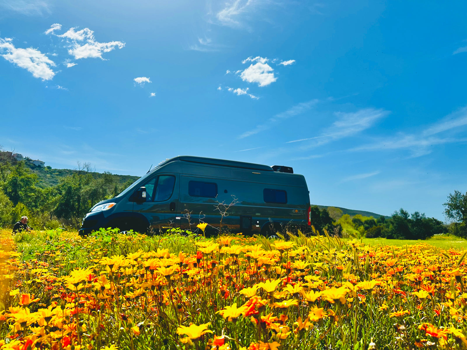 Serene rv rental camper van in a vibrant yellow flower field under a bright blue sky. Perfect for outdoor travel.