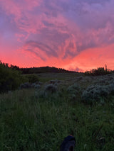 Vibrant pink and purple sunset over a dark, tree-lined hill and grassy landscape. Ideal for an RV rental getaway.