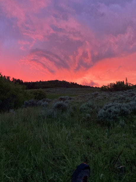 Vibrant pink and purple sunset over a dark, tree-lined hill and grassy landscape. Ideal for an RV rental getaway.
