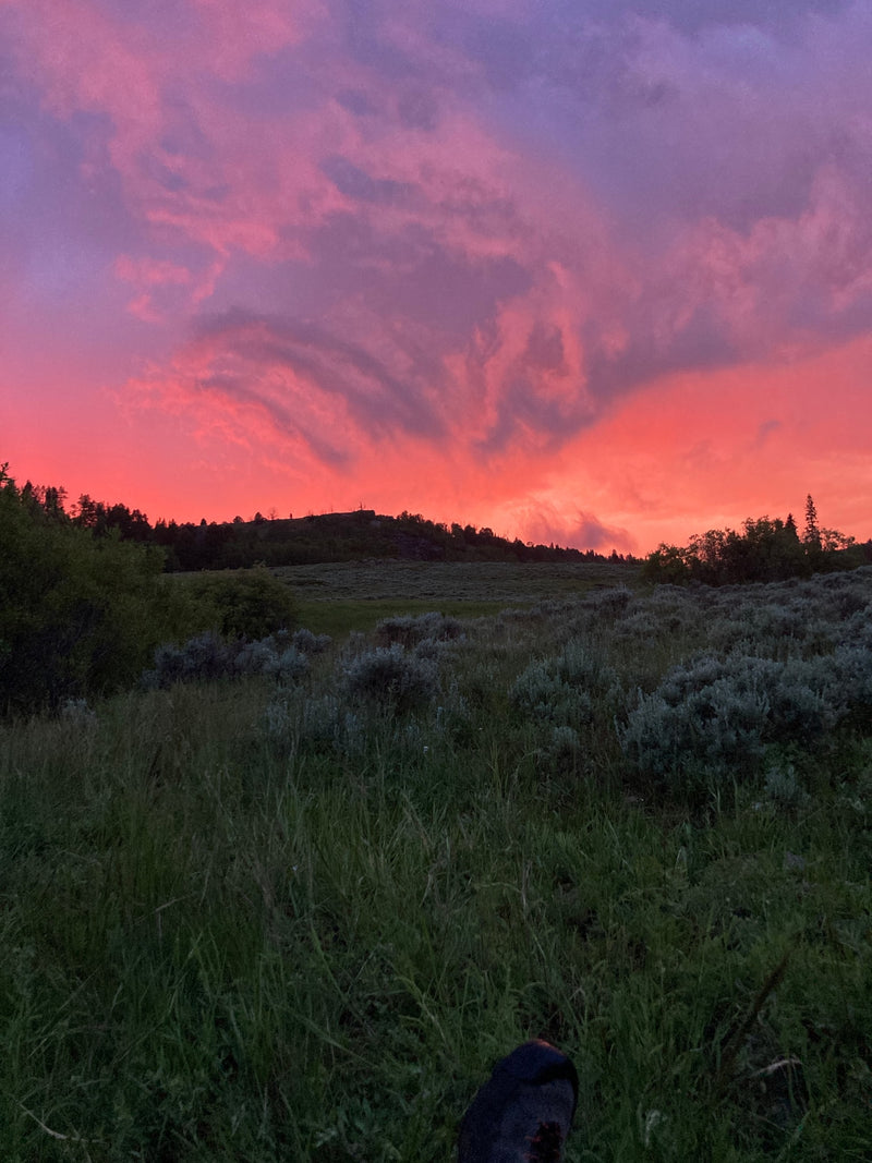 Vibrant pink and purple sunset over a dark, tree-lined hill and grassy landscape. Ideal for an RV rental getaway. — photo 19
