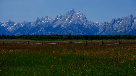 Explore the stunning Grand Teton mountains, green meadows, and wooden fence. Perfect scenery for your RV rental journey.