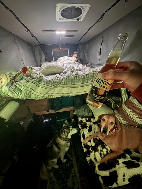 Relaxing inside an RV rental: person in bed, two dogs on the floor, and a hand holding a cold Corona.