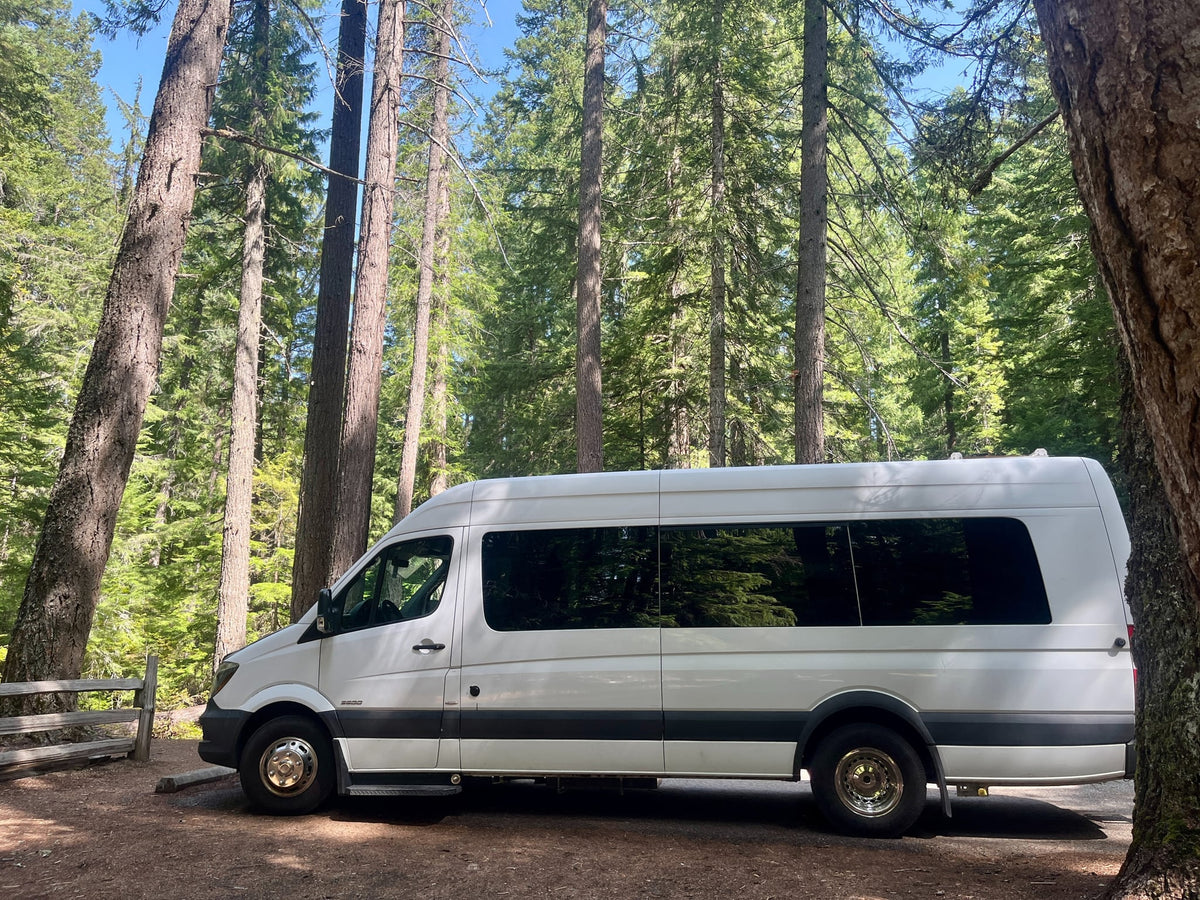 White camper van (likely an RV rental) parked among tall pine trees in a sunny forest — photo 1