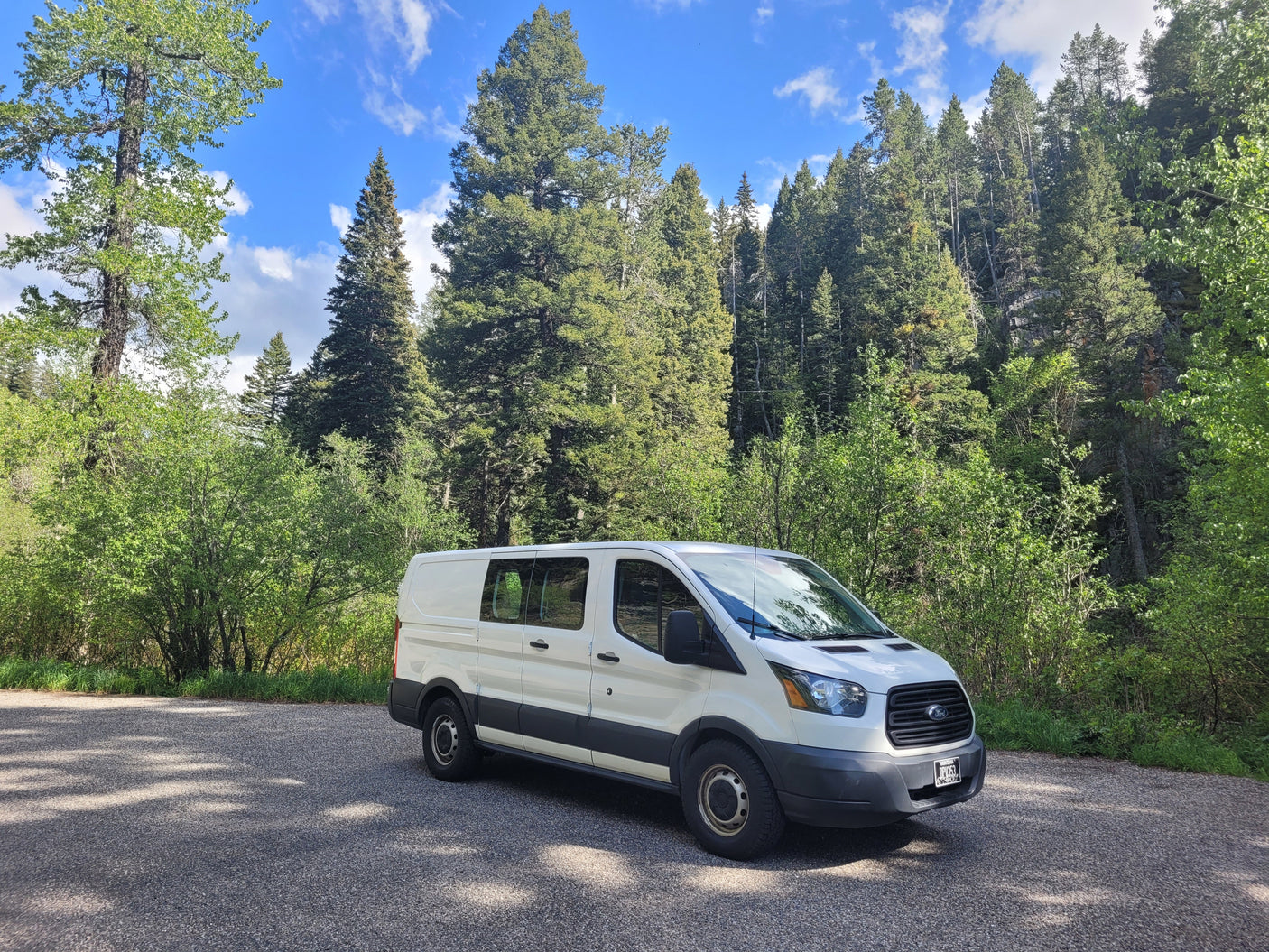 White Ford Transit van parked amidst towering green trees under a blue sky. Explore with an rv rental!