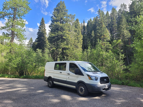 White Ford Transit van parked amidst towering green trees under a blue sky. Explore with an rv rental!