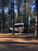 This grey camper van, ideal for an RV rental trip, is parked at a serene forest campsite with a picnic table.