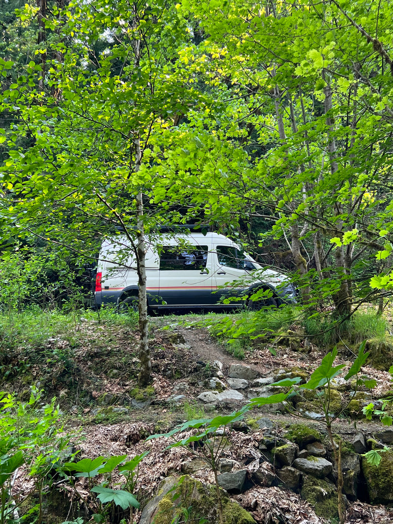 White rv rental parked in a lush green forest, blending into nature. Perfect for outdoor adventures. — photo 13