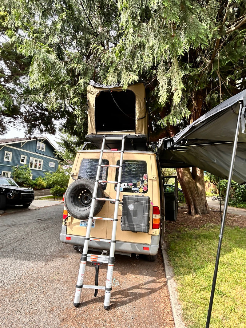  insulated windows — photo 8