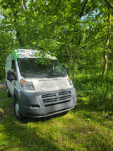 White Ram ProMaster van with a green roof stripe, nestled in a sun-dappled forest. Ideal for your next rv rental adventure!
