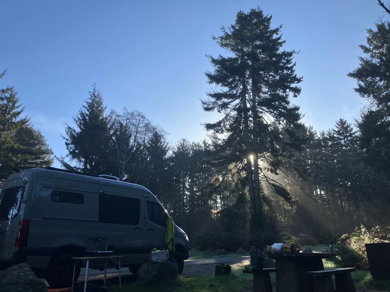  is parked in a sunny forest clearing with an awning — photo 8