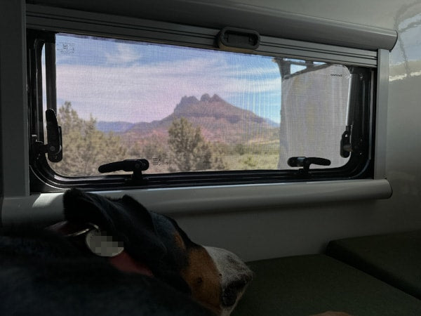 Scenic RV rental: A dog rests inside, overlooking majestic mountains through a screened window. — photo 19