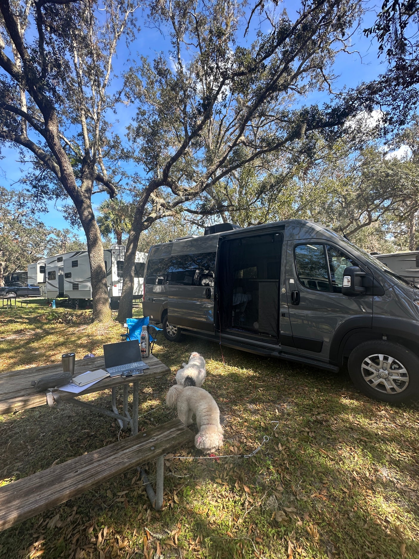 A grey camper van RV rental parked at a sunny campsite with two dogs, a picnic table, and a laptop.