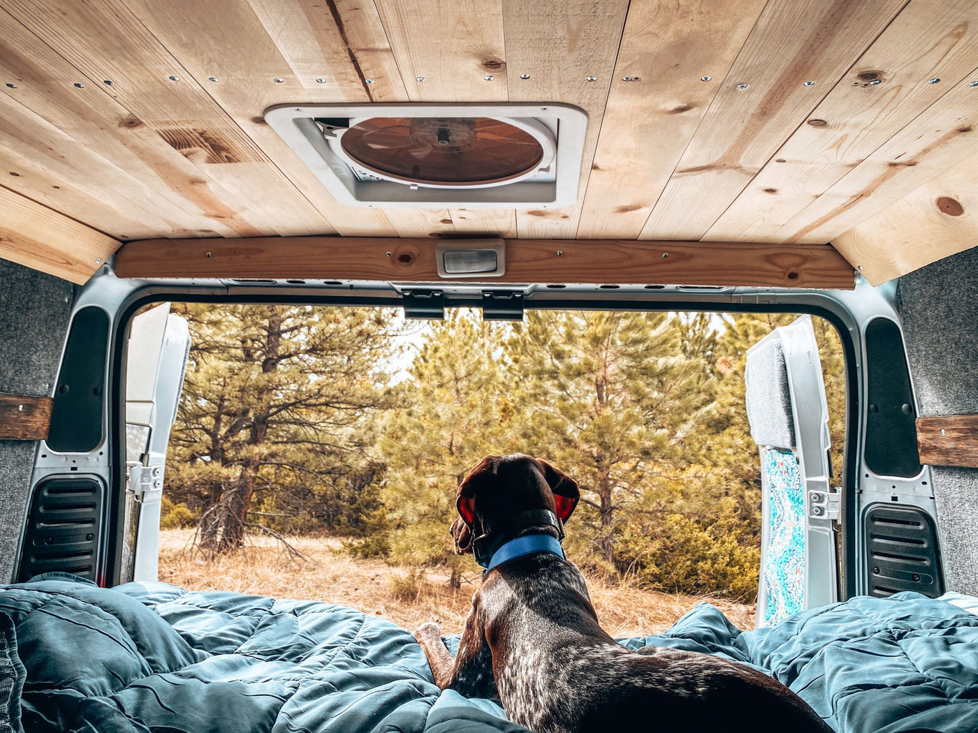 Inside a comfy RV rental — photo 1