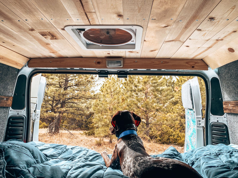 Inside a comfy RV rental — photo 1